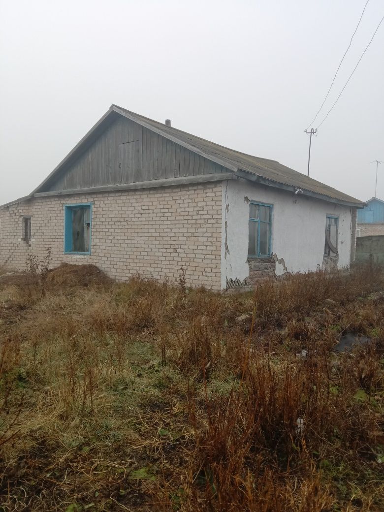 Продам два дома в с. Шаховское
