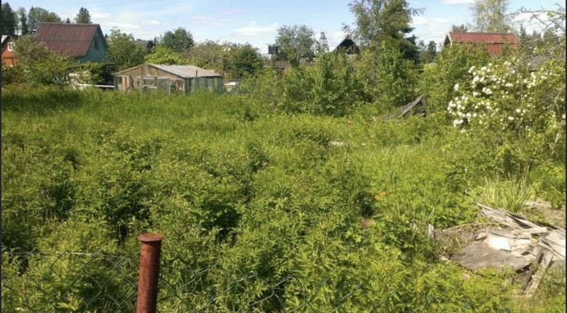 Продам дачный участок