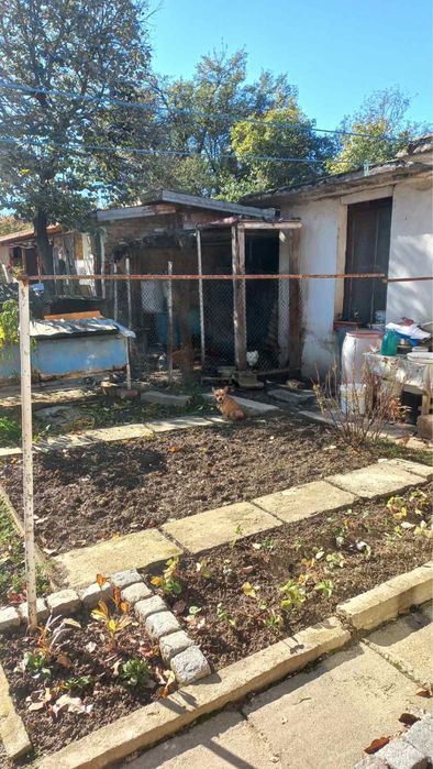 Продава се куче от двор символично