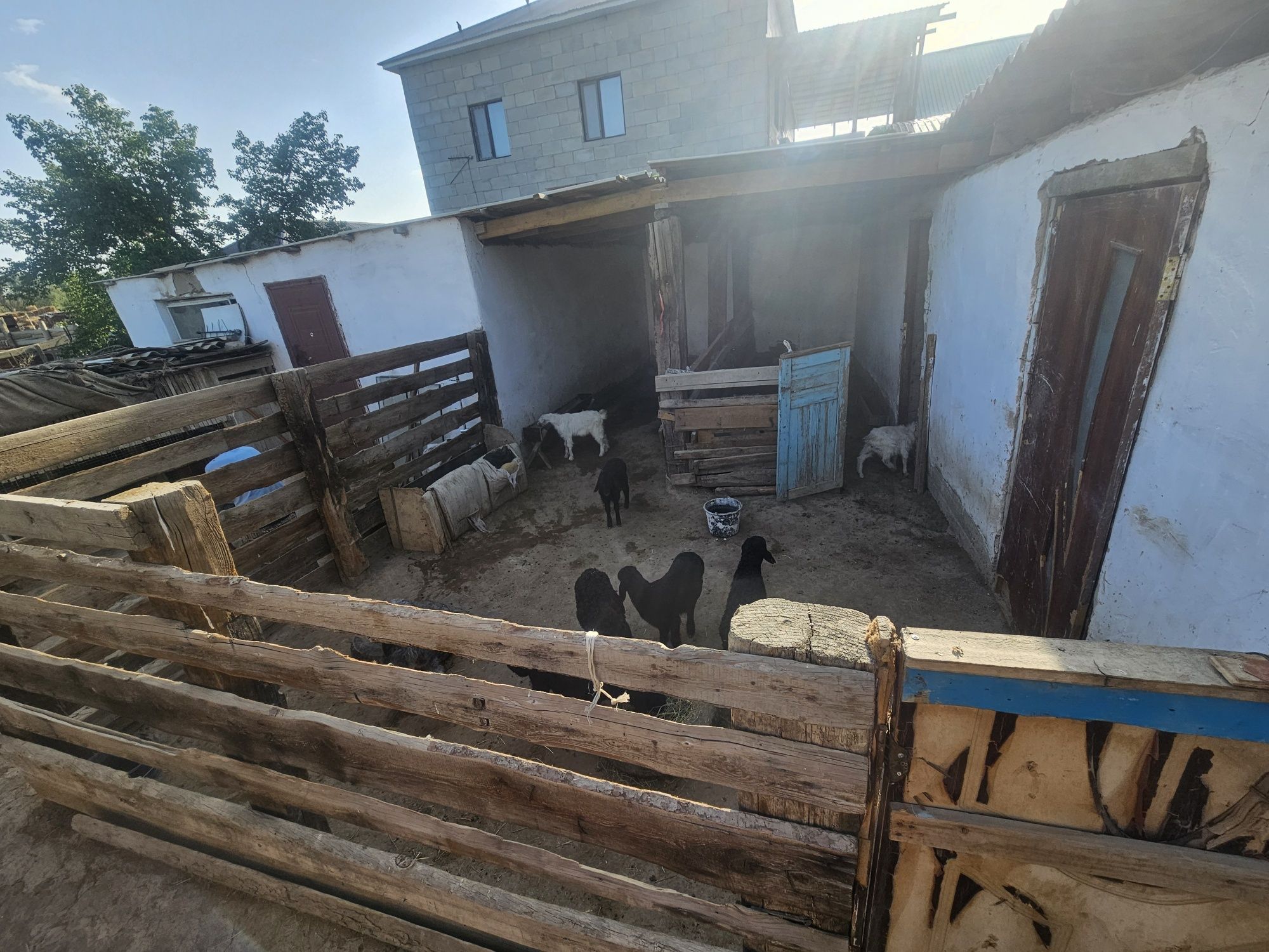 Үй сатылада Кировта