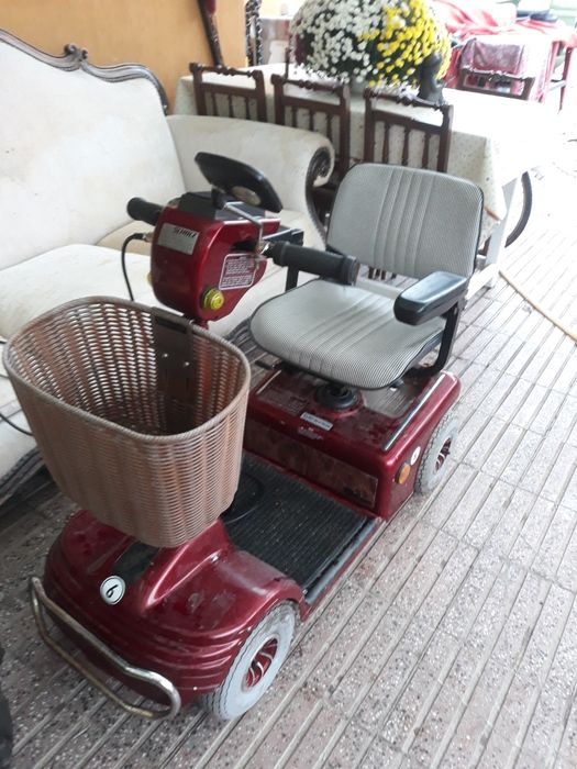 Căruț handicap funcțional preț.820 lei.