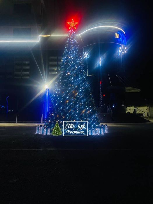 Кракссные уличные ёлки /Archa