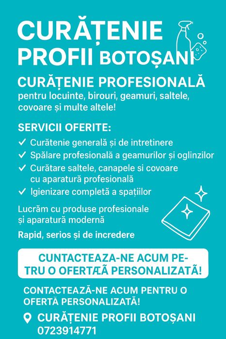 Curatenie profii in botosani