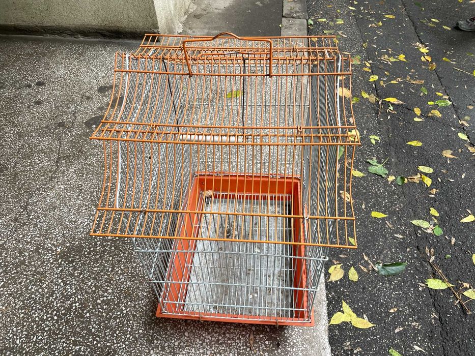 colivie mare papagali  colivie mare colivie pasari colivie pasari