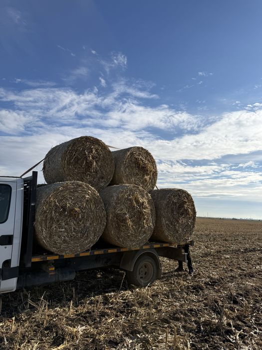 Baloti porumb 120x120