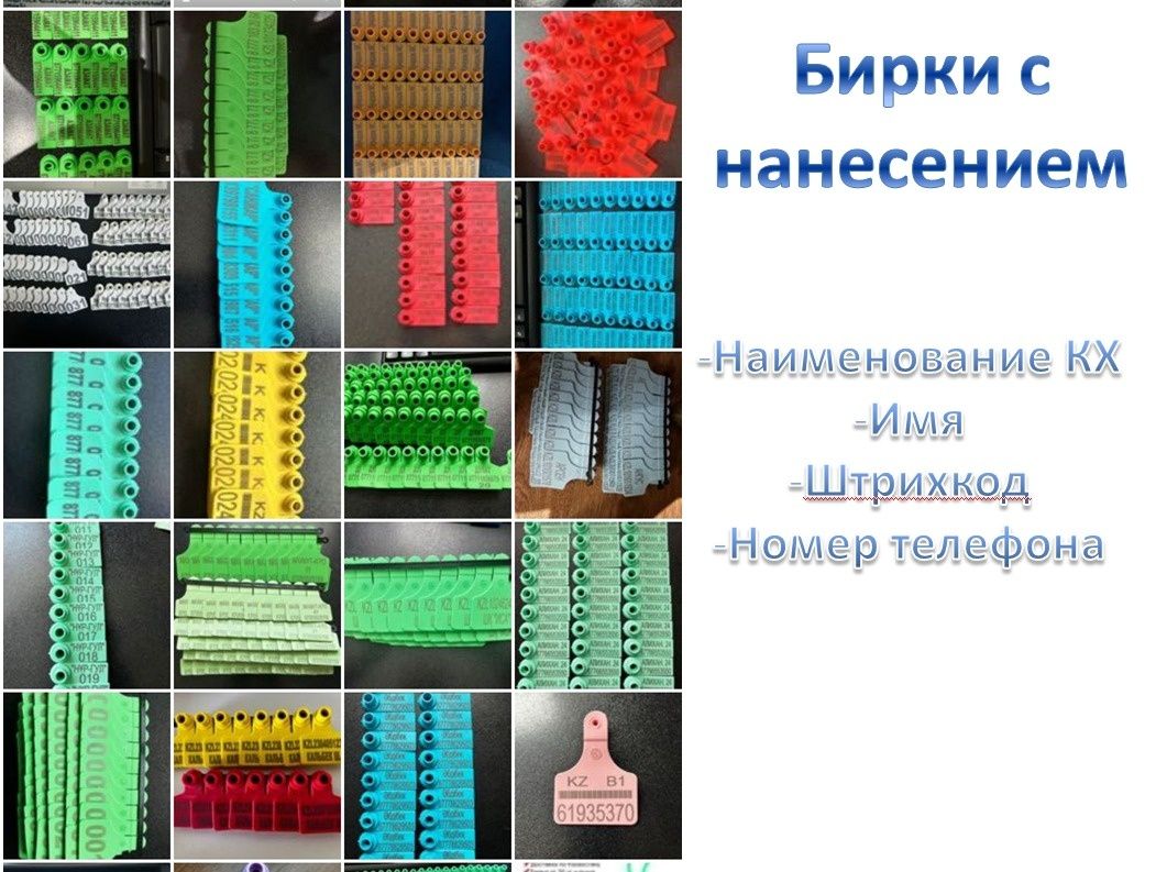 Бирки для животных