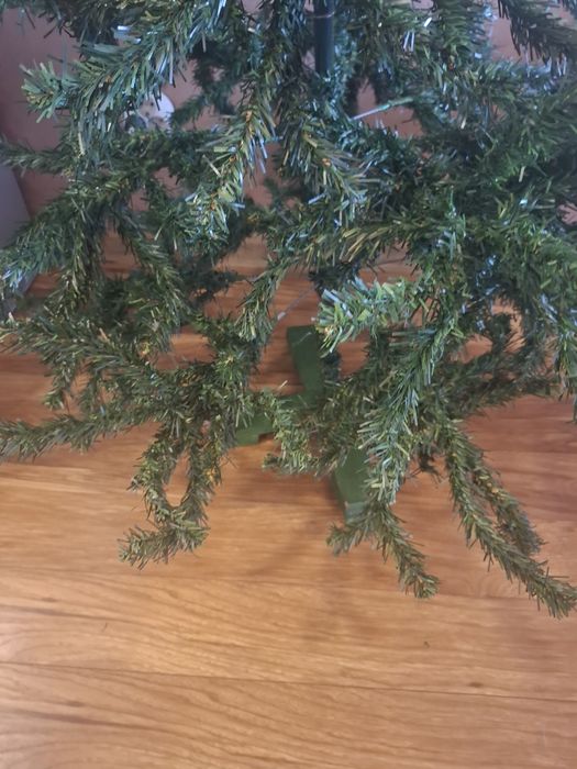 Елха 1.80см висока