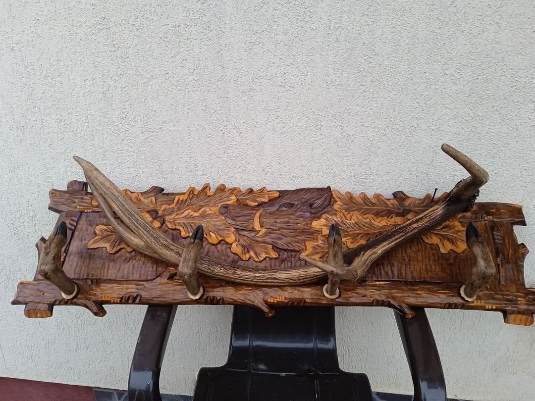 Vand trofeu de caprioara sub forma de cuier