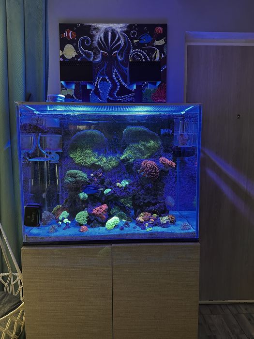 Acvariu &0x50x60 (240l)