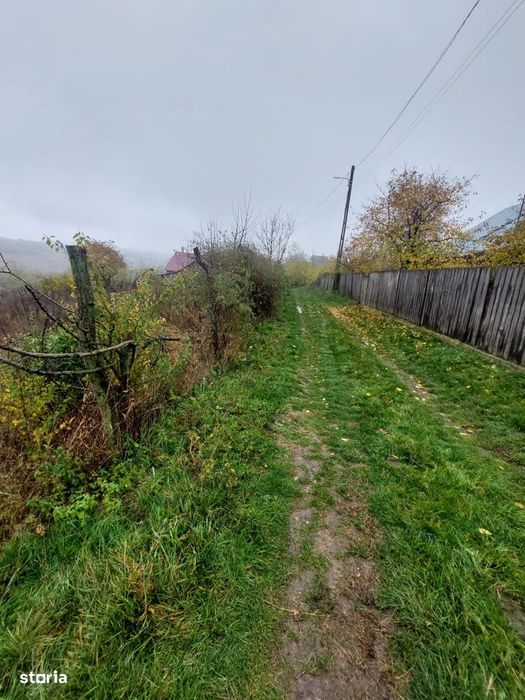 Teren intravilan Popricani