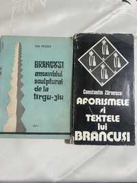 Carti Constantin Brancusi Targu-jiu