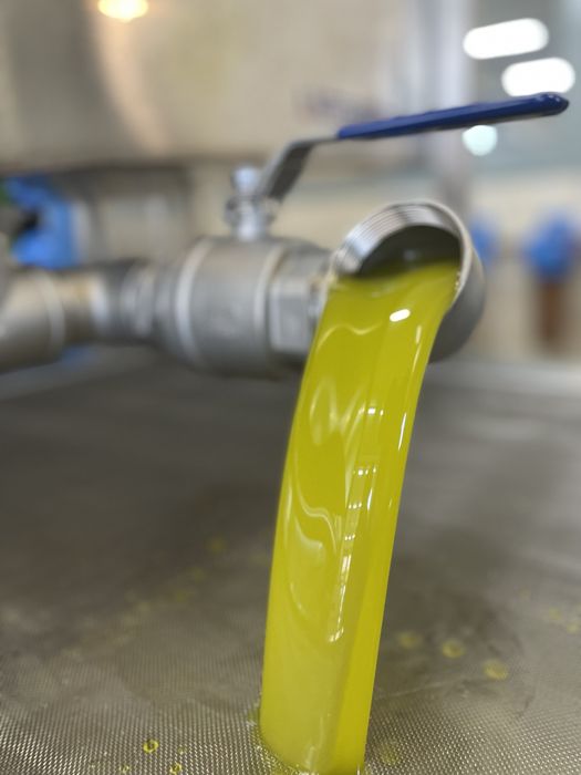 Ulei de masline extra virgin