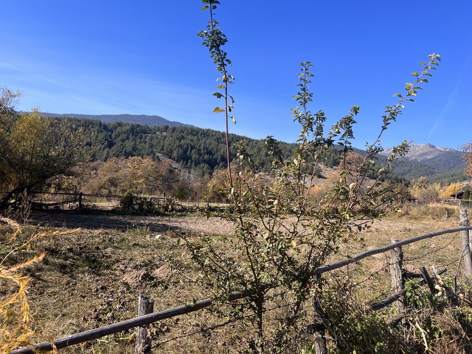 Продава се Парцел в с. Добърско, Област Благоевград - 800 кв.м за 62 €/кв.м - Снимка #3