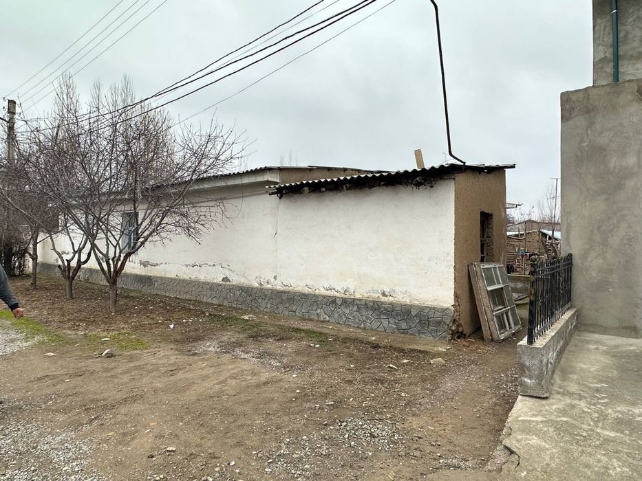 Zangi otadan 5 km, Leninizm Yangiyol