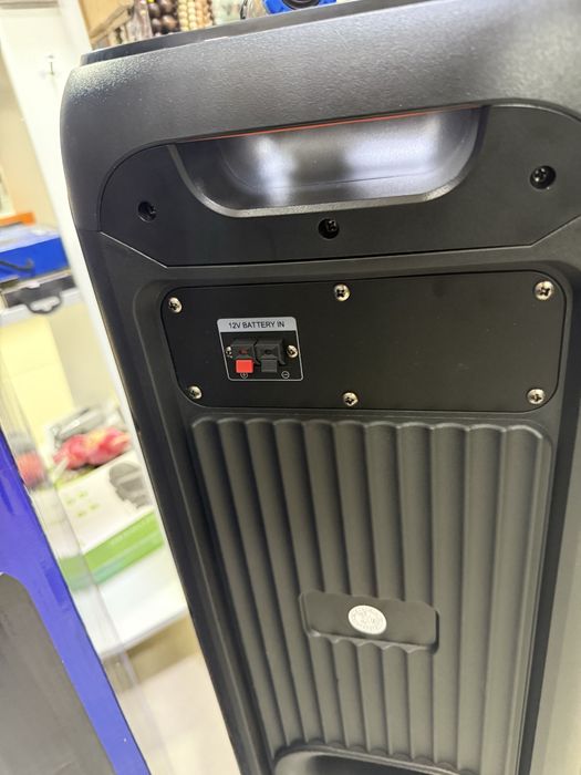 Караоке музыкальная колонка микрофоны