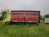 Camion pavilion apicol 11.9 t