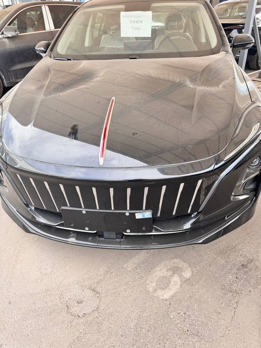 Hongqi  eqm  500