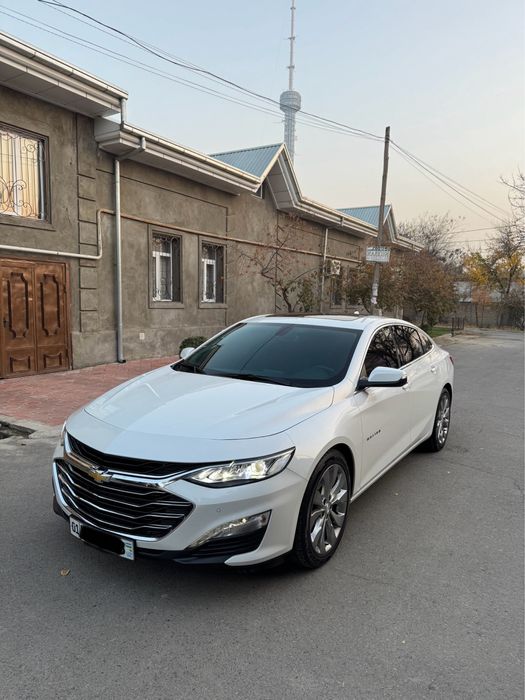 Malibu2 Premier Tozza Ideal Bitta qol srochna