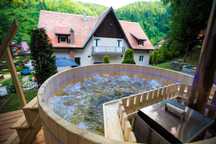 Cabana de inchiriat lângă Sibiu Transalpina ciubar sauna gratar