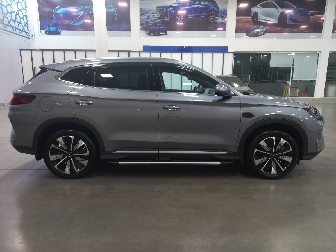 BYD CHAMPION 2025 SONG + Smart Driving 2026