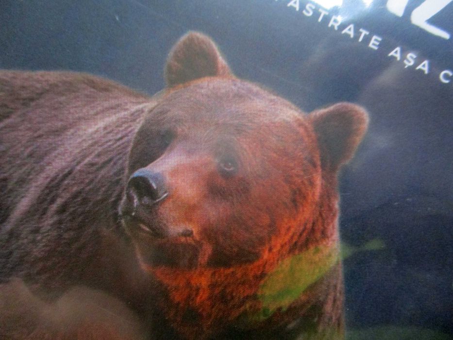 România neîmblânzită, DVD, nou