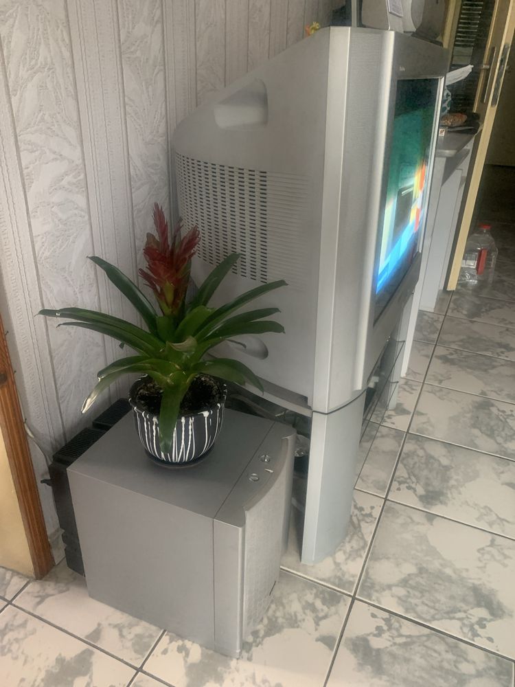 TV SONY Trinetron 29LS10
