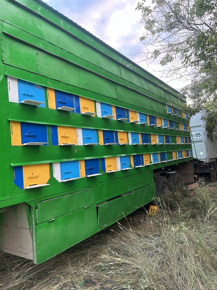 Продам пчелопавильион