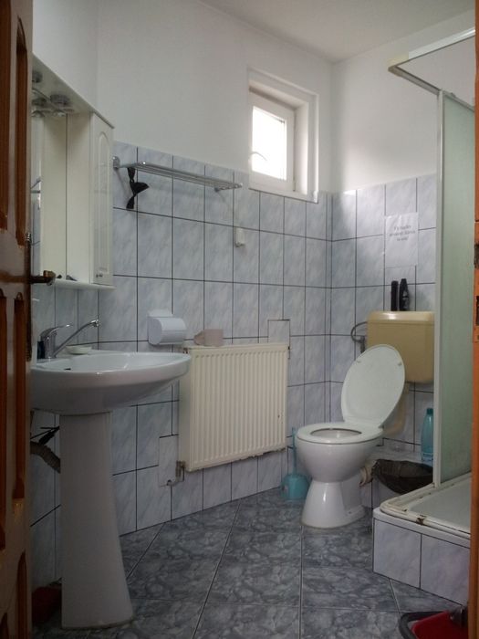 Camera 1 băiat, in vila, zona Vitan - Mihai Bravu