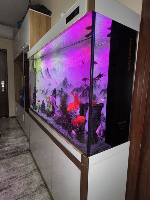 Akvarium 500 litr