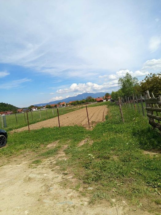 Teren intravilan