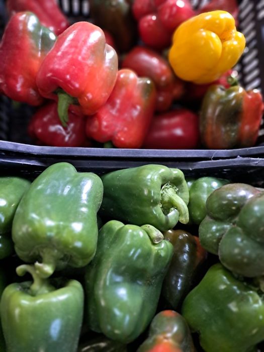 Продам свежие помидоры баклажаны перец  кукуруза  помидоры