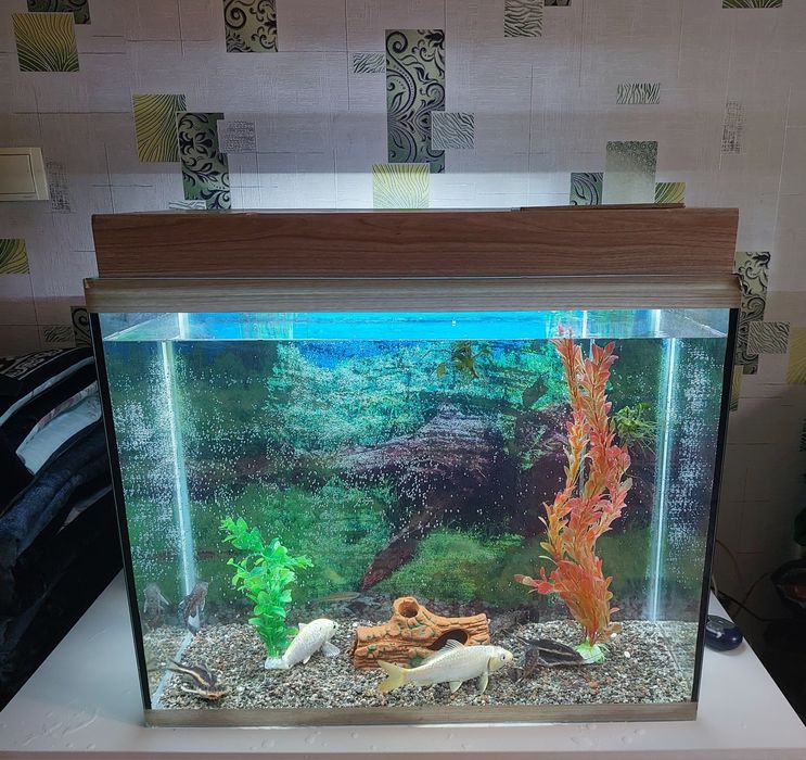 Аквариум  рыбками филтр