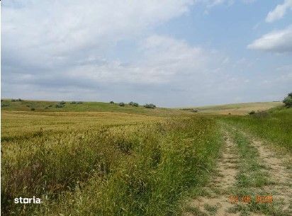 Teren extravilan Oltina, cota parte 1/2, ID: R2610910