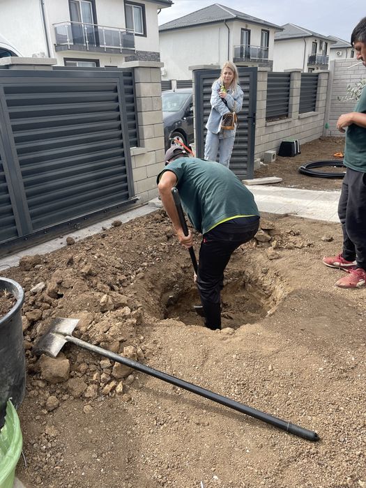 Gazon rulou si plante ornamentale