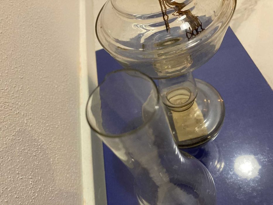 lampas camping pt gaz lampant  Regimentul III Cluj Campanie 1950