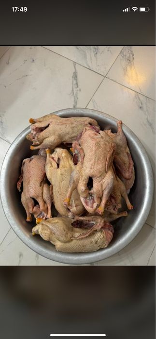 Продам  домашних чищеных уток в любом количестве