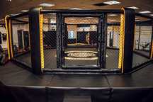 Клетка "UFC" ( Октагон )