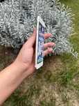 Iphone 6S 16 Gb sotiladi