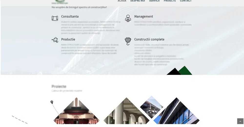 Site / Website - Magazin Online - Logo PENTRU AFACEREA TA