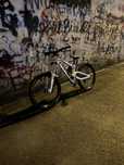 Vand Scott Gambler 30 URGENT