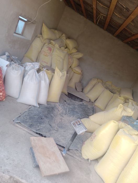 Кепак йем  сечка бугдой