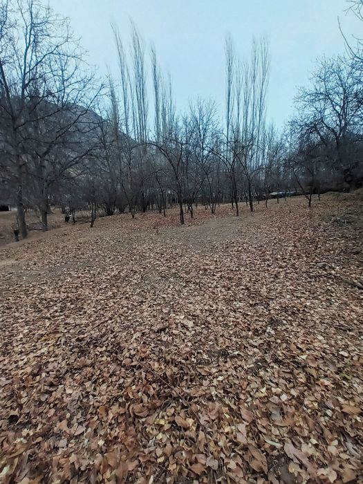 Здравствуйте дорогие друзья я вам обейвляю у меня есть земля каторие в