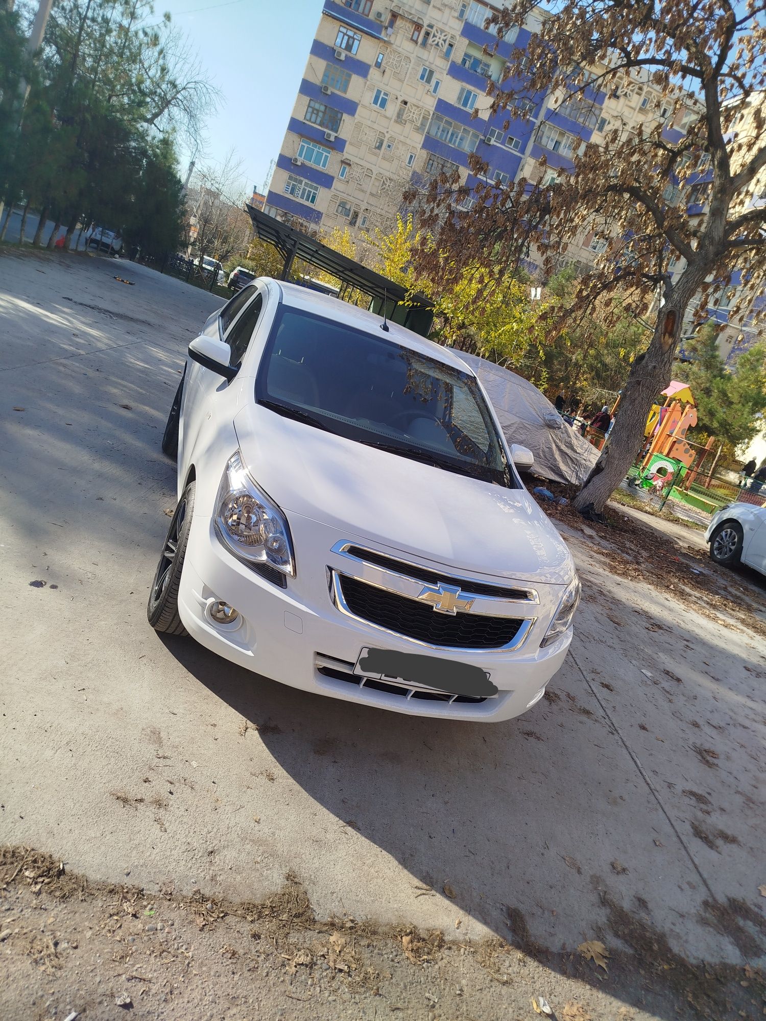 Cobalt kriditi bor 2024