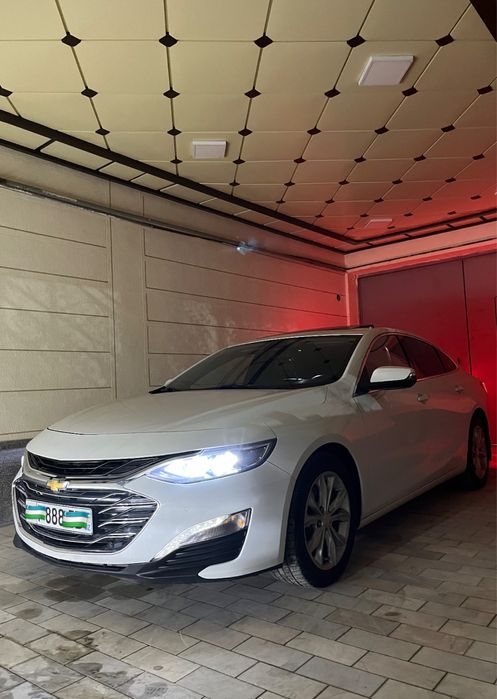 Malibu Premier Sotiladi