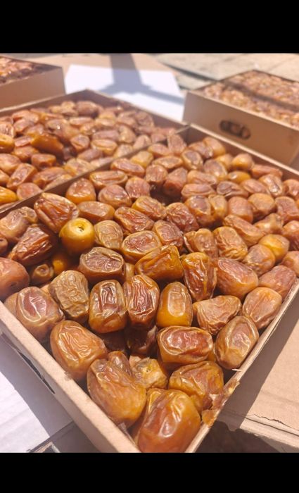 Финики Суккари Медовые