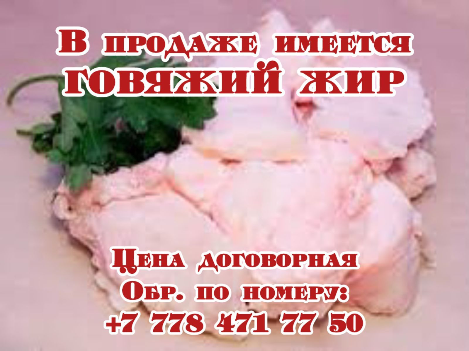 Говяжий жир, свежий