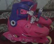 Rolik, pushti va binafsha rangda,