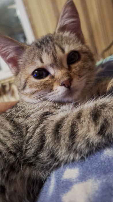 Красавица девочка!