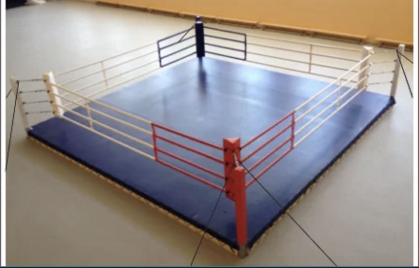 Ринг боксерские на помосте и на раме лутшая цена от производителя