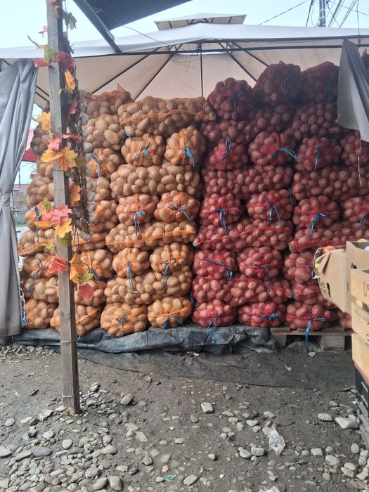 Cartofi și varză 2 lei transportul gratuit